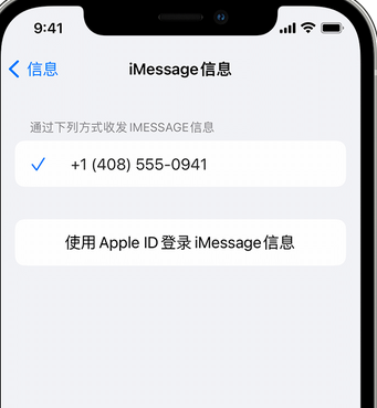 赫章apple维修iPhone上无法正常发送iMessage信息 