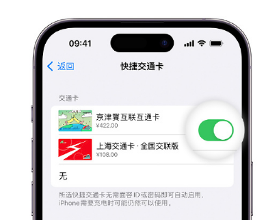 赫章apple维修点分享iPhone上更换Apple Pay快捷交通卡手绘卡面 