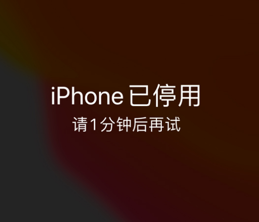 赫章苹果手机维修分享:iPhone 显示“不可用”或“已停用”怎么办？还能保留数据吗？ 