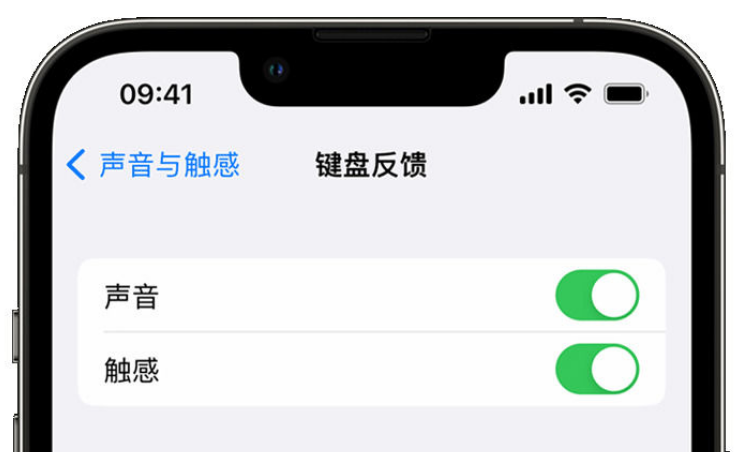 赫章苹果手机维修分享iPhone 14触感键盘使用方法 