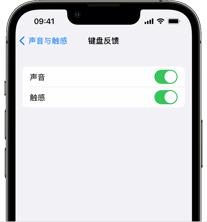 赫章苹果14维修店分享如何在 iPhone 14 机型中使用触感键盘 