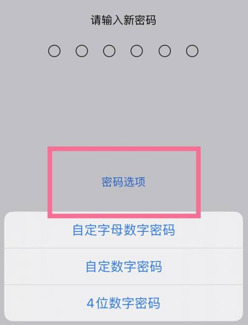 赫章苹果14维修分享iPhone 14plus设置密码的方法 