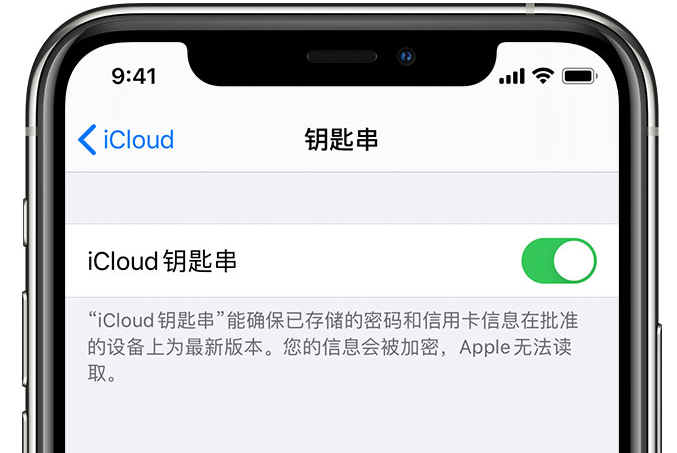 赫章苹果手机维修分享在 iPhone 上开启 iCloud 钥匙串之后会储存哪些信息 